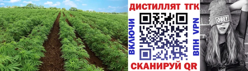 ТГК концентрат что такое наркотик Салехард