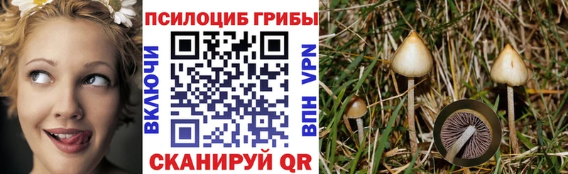 наркошоп  Салехард  OMG зеркало  мориарти наркотические препараты  Псилоцибиновые грибы Psilocybe 